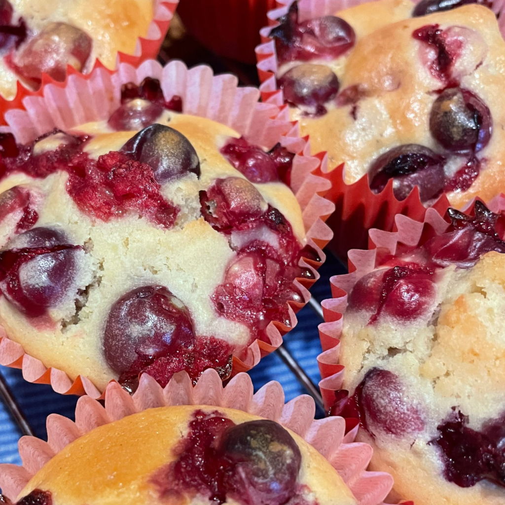 Cranberry Cake 1